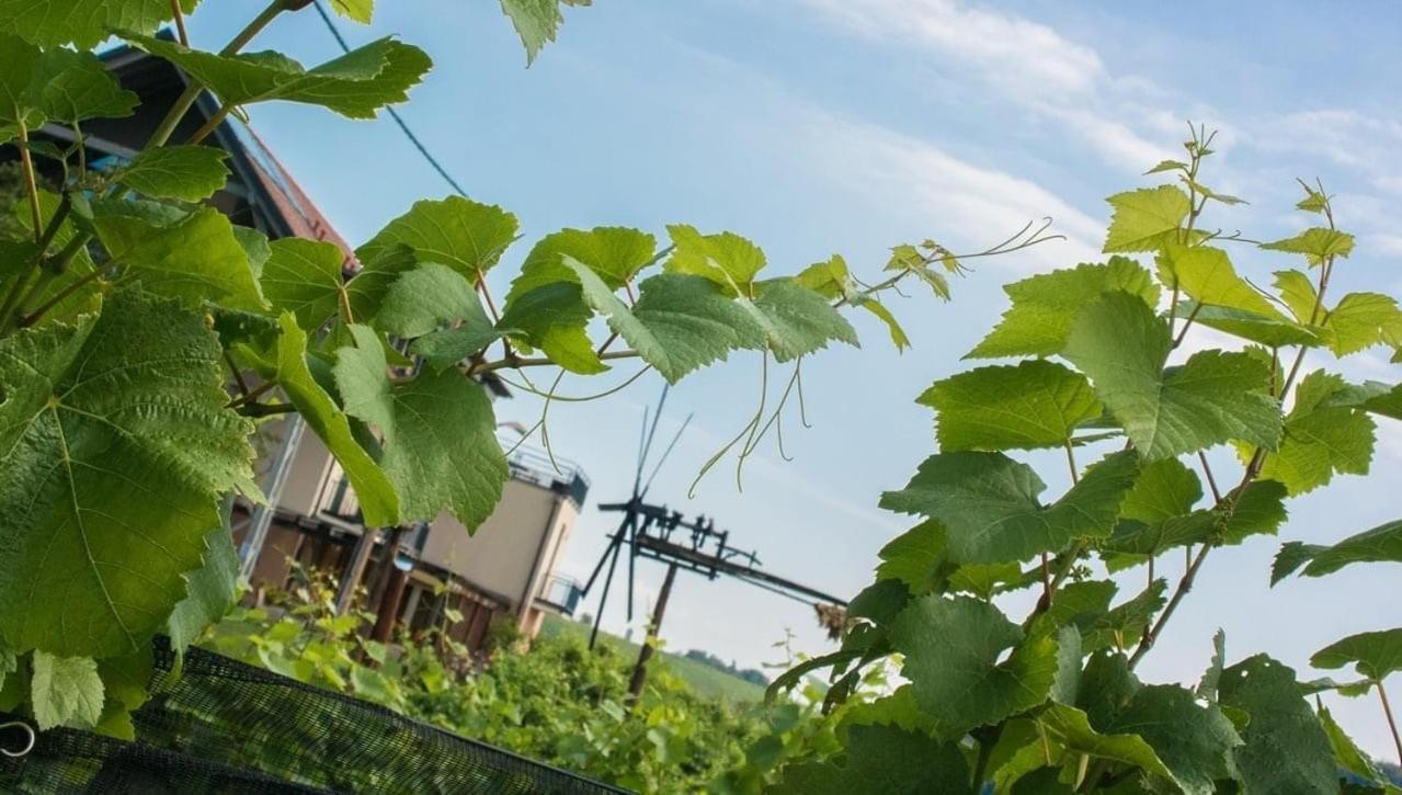 Zweytick Gaestezimmer Weingut Ratsch an der Weinstraße Zewnętrze zdjęcie