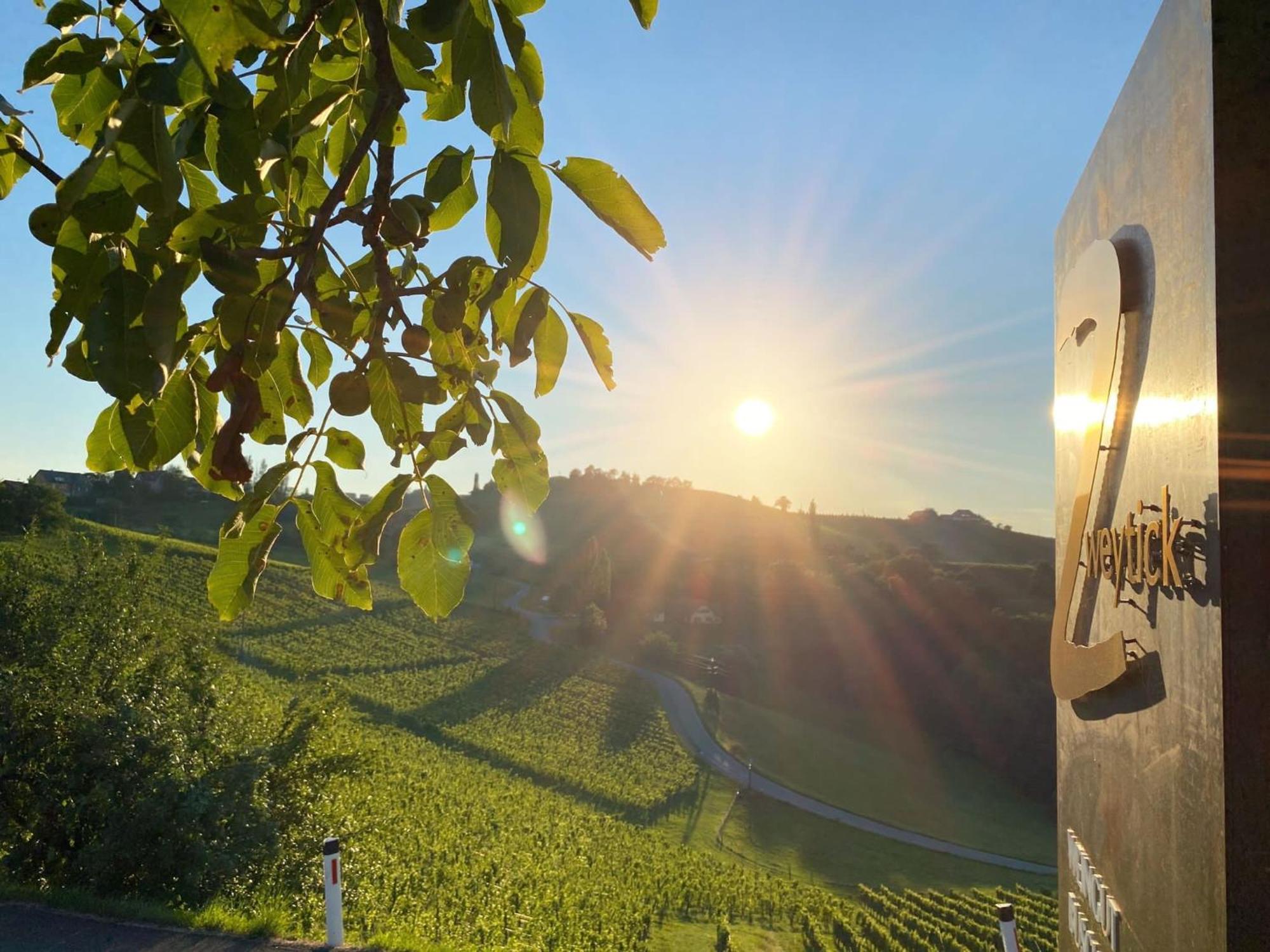 Zweytick Gaestezimmer Weingut Ratsch an der Weinstraße Zewnętrze zdjęcie