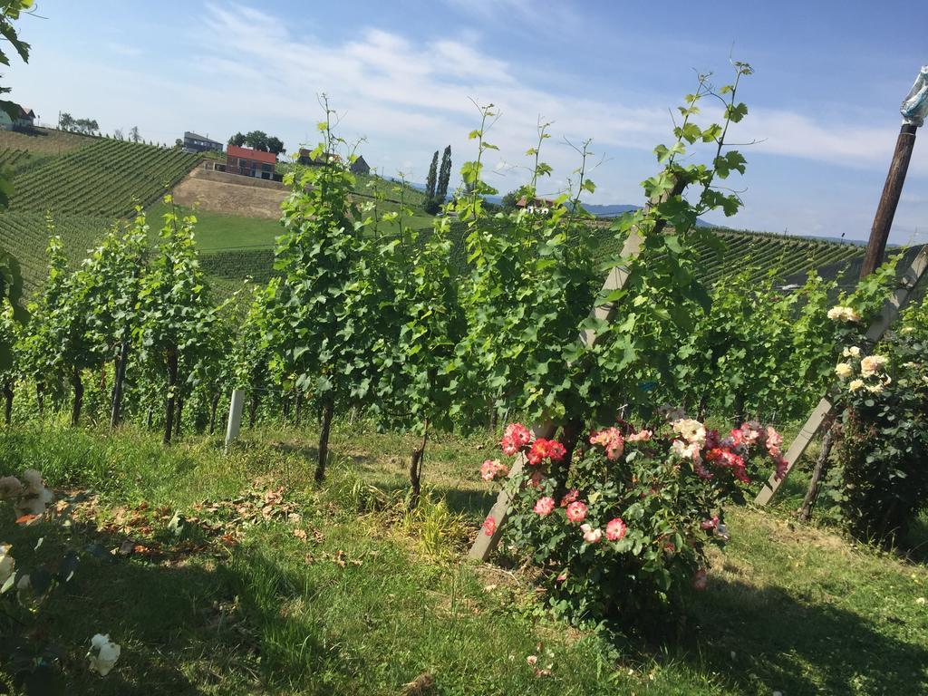 Zweytick Gaestezimmer Weingut Ratsch an der Weinstraße Zewnętrze zdjęcie